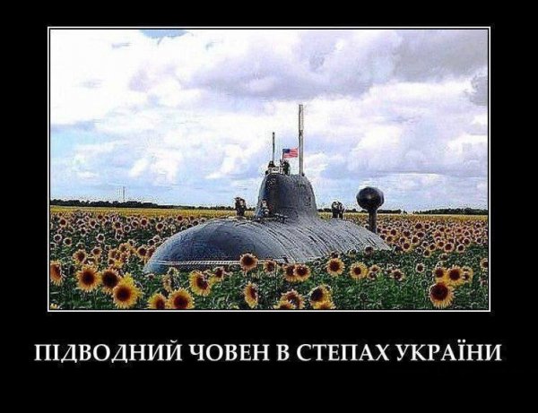 DZDZQ2avOzo