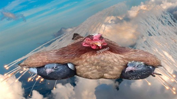 Photo272@07-05-201923-00-30