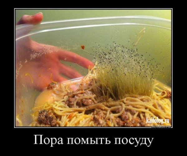 picture_399348950