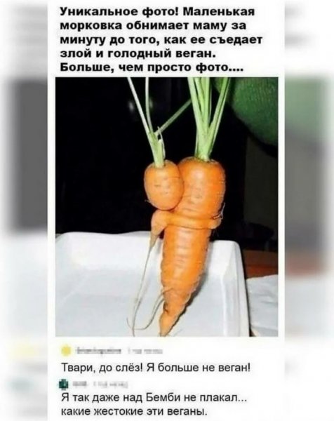 max g480 c12 r3x4 pd20 (6)