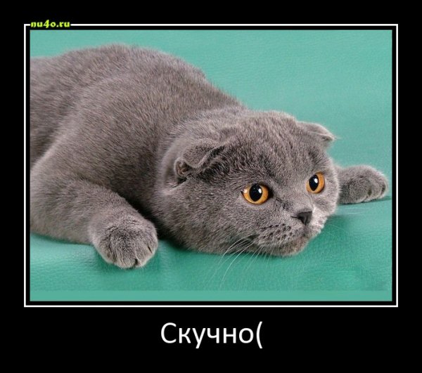 pics
