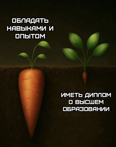 B511b13dc9 bolshoj-sbornik-shutok-i-prikolov-v-pjatnicu-6