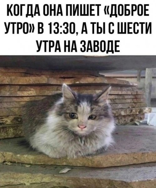 Доброе утро!
