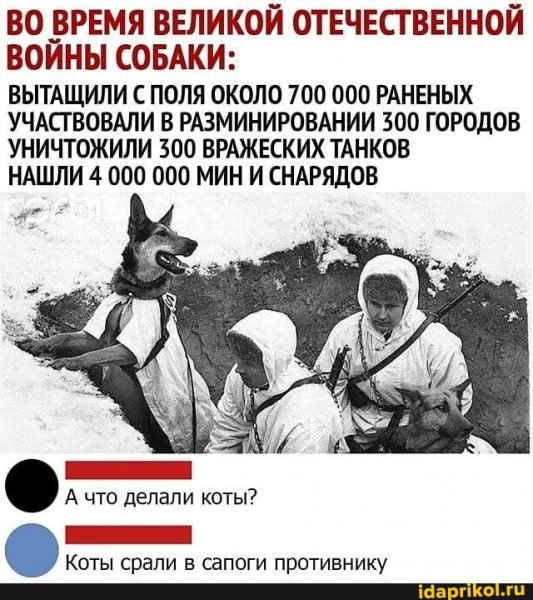 7bd151408102a9baaa808cc5b6a860bc4175aedae63af5e7a6bfa47ad26b7