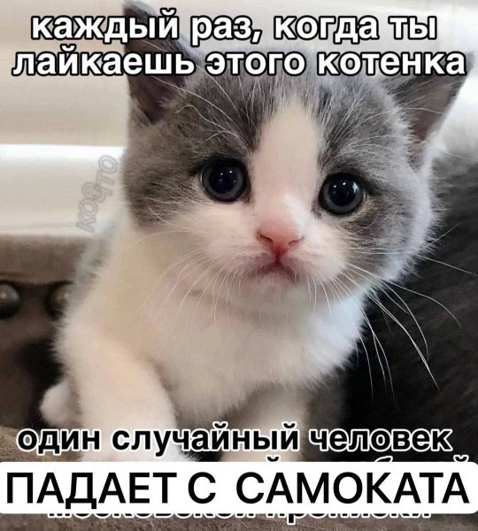 Лайк, подписка