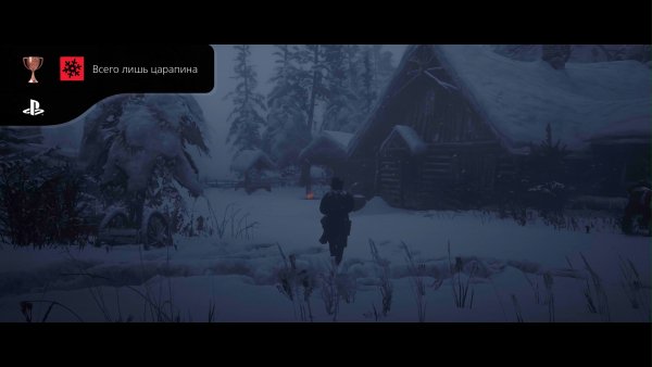 Red Dead Redemption 2 20240625150717