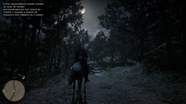 Red Dead Redemption 2 20250707154409