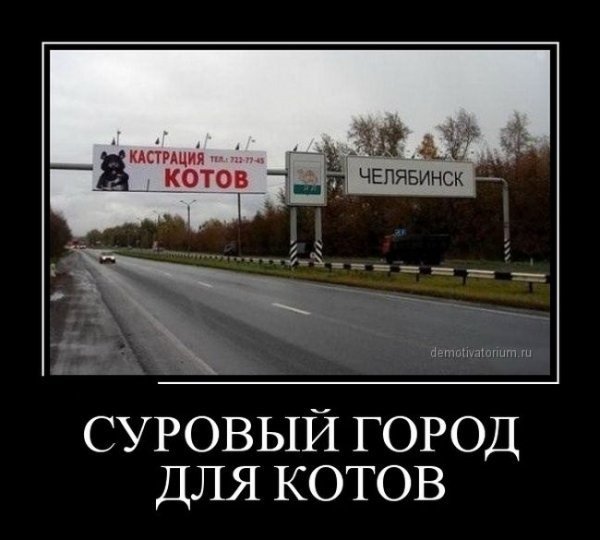 pics