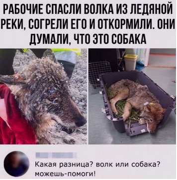 Скриншот 09-05-2020 102609