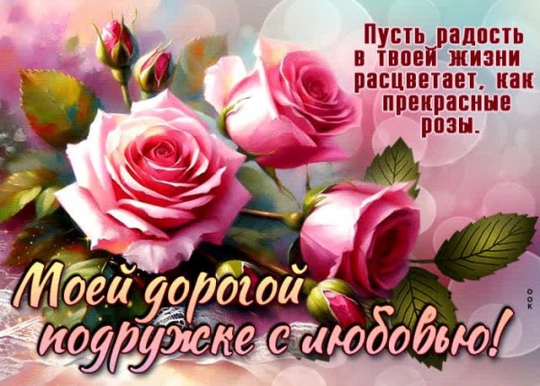 IMG-20250513-WA0067