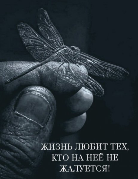 IMG 20250602 041001
