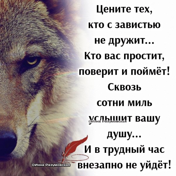 IMG 20250424 081225
