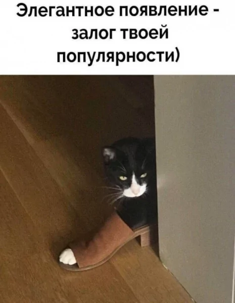 file_99977321