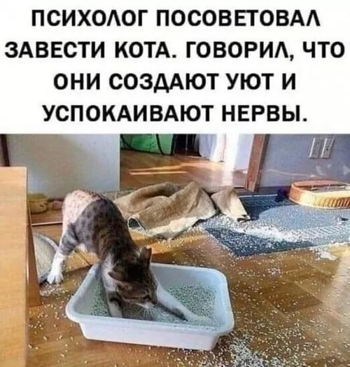 x500