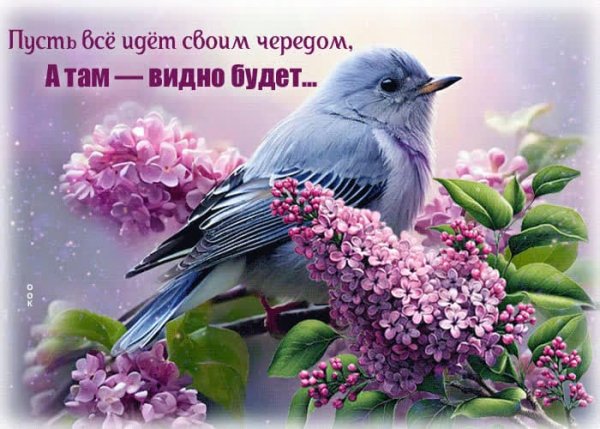IMG-20250513-WA0026