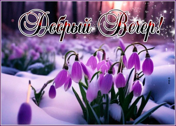 file_99507212