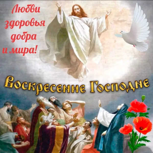 IMG-20250529-WA0001