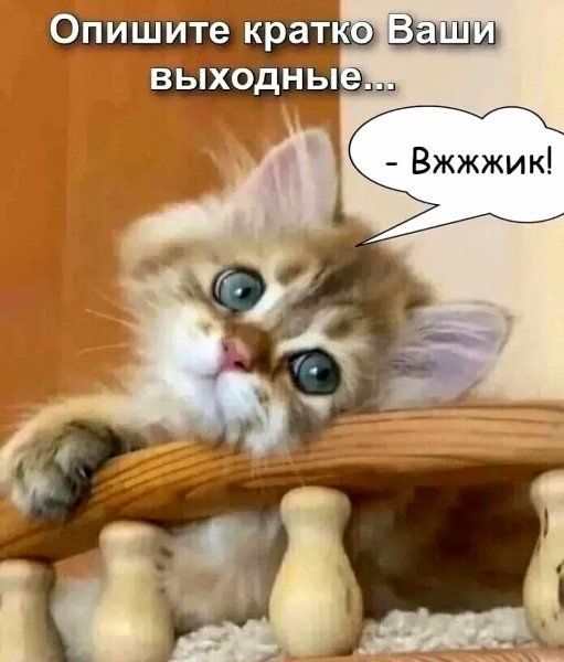 Вот и прошли выходные!!!