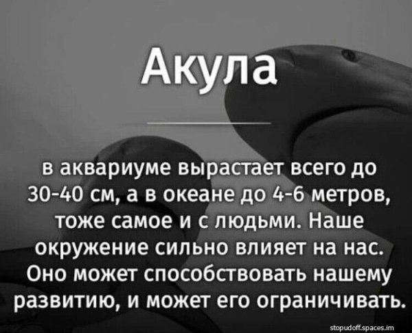 IMG 20220724 002819-