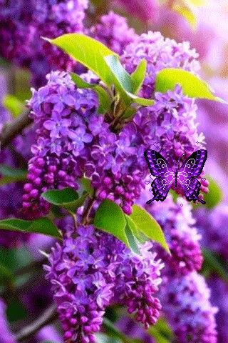 file_99599058