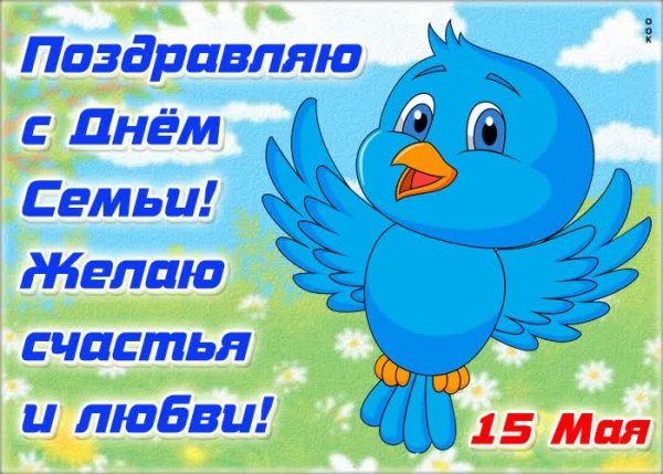 IMG-20250515-WA0024