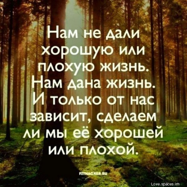 p.600.600.0-