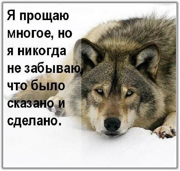 IMG 20250603 203157