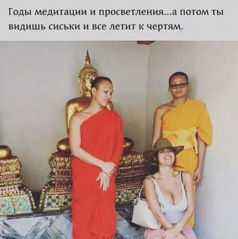 file_99993904