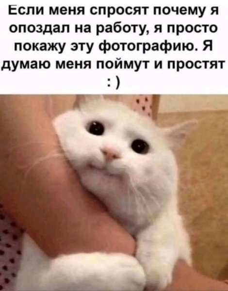 file_99997465