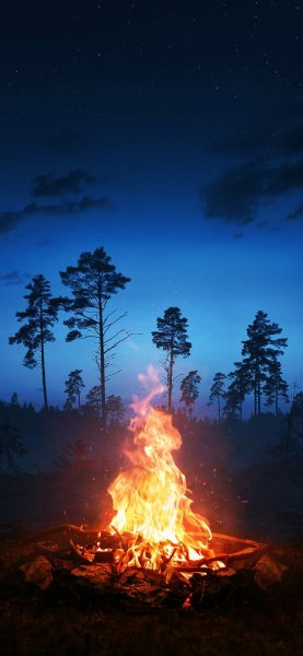 file_99925460