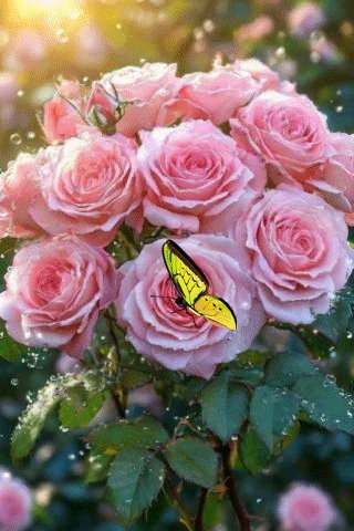 file_99866212