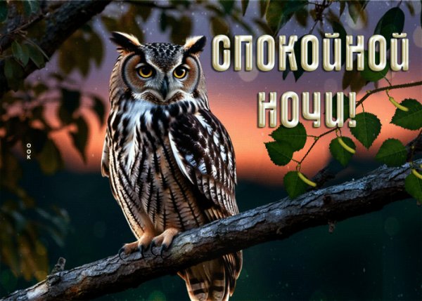 file_99727772