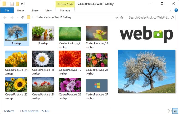 WebP Codec for Windows