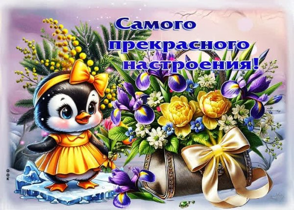IMG-20250513-WA0063