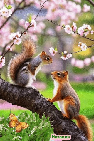 file_99722252
