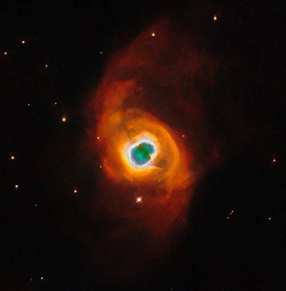 KOHOUTEK 4-55
