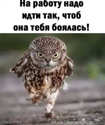 i (2364)-