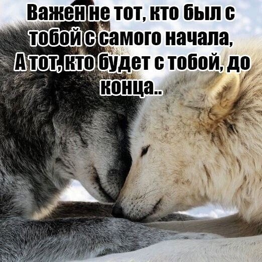 IMG 20250602 041123
