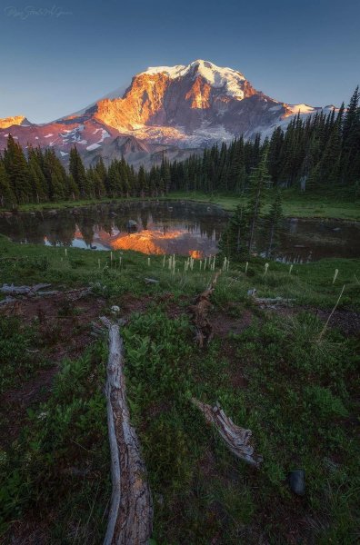 file_99953239