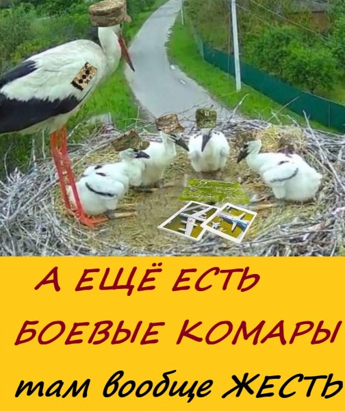 Слова не нужно