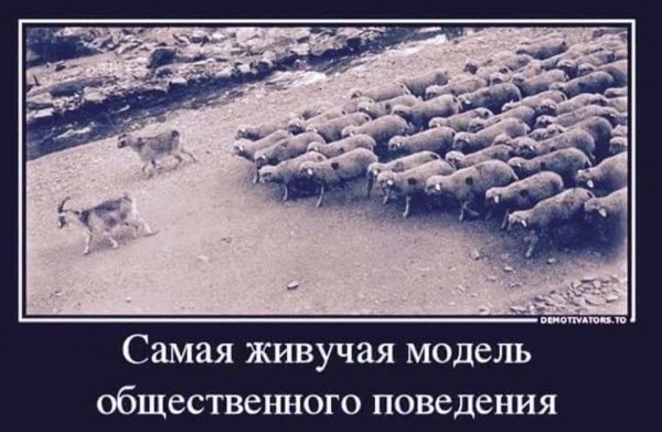 file_99923371