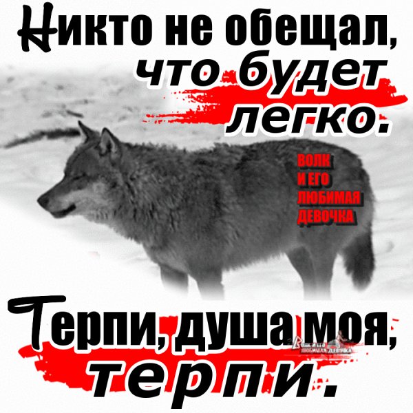 IMG 20230224 145614