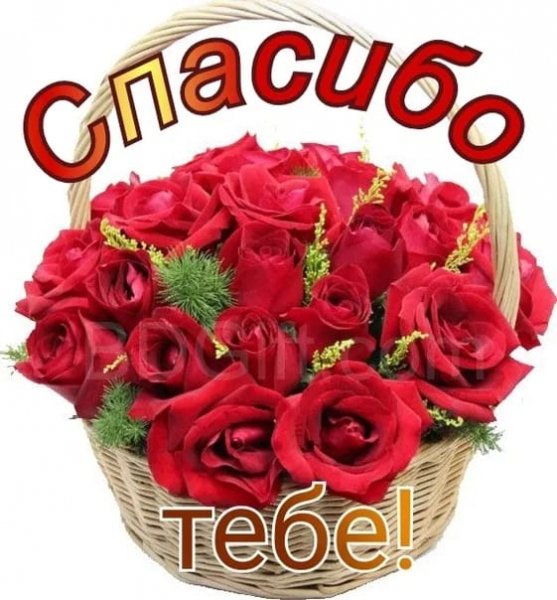 IMG-20250514-WA0035