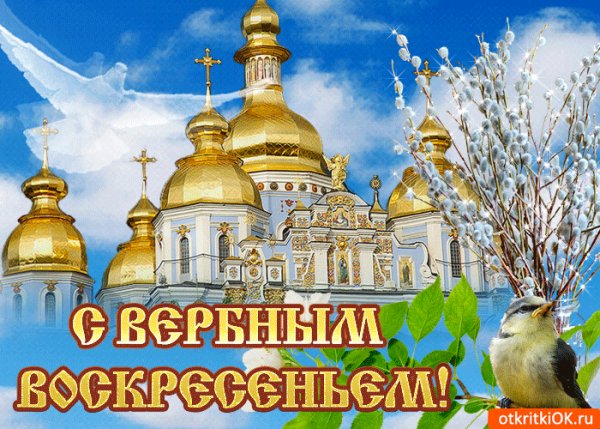 file_99528829