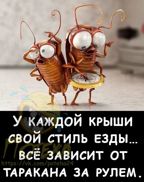 ))- (6)