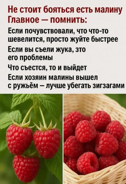 FB IMG 1748808017421