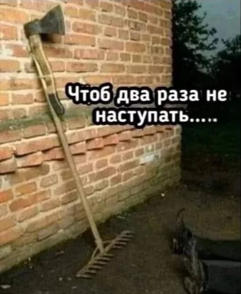 IMG 20250604 060310 132