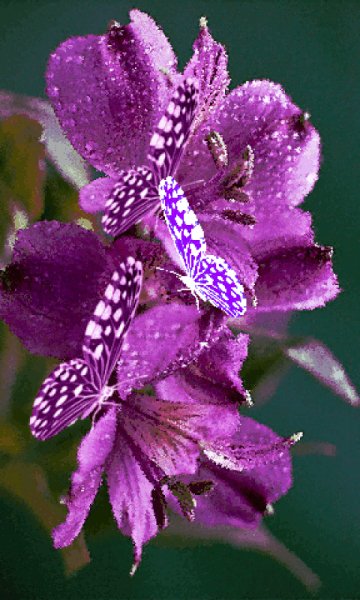 file_99537517