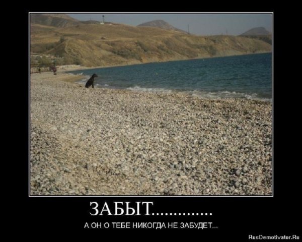 Он о тебе никогда не забудет