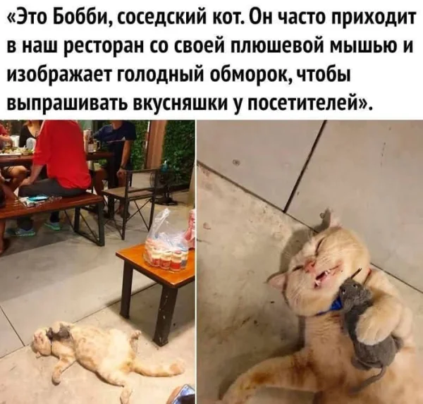 FB IMG 1749283319127
